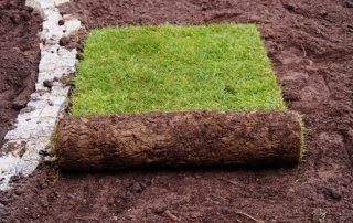 Should I Use Sod For My South Carolina Lawn?